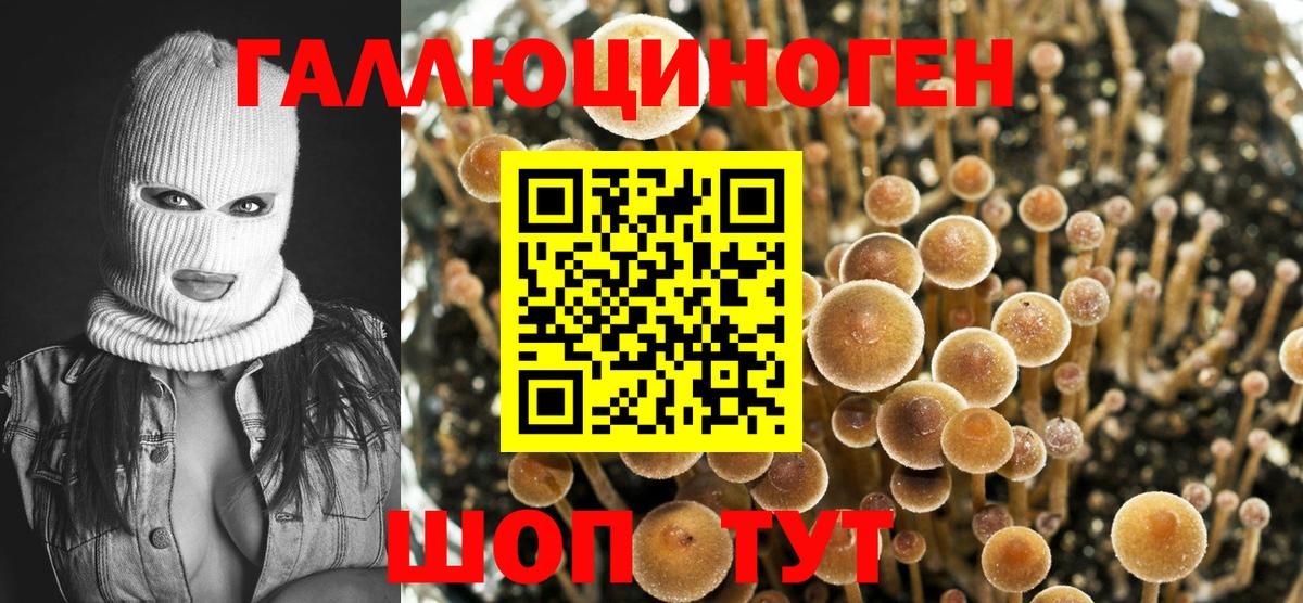 Галлюциногенные грибы Psilocybine cubensis Сарапул